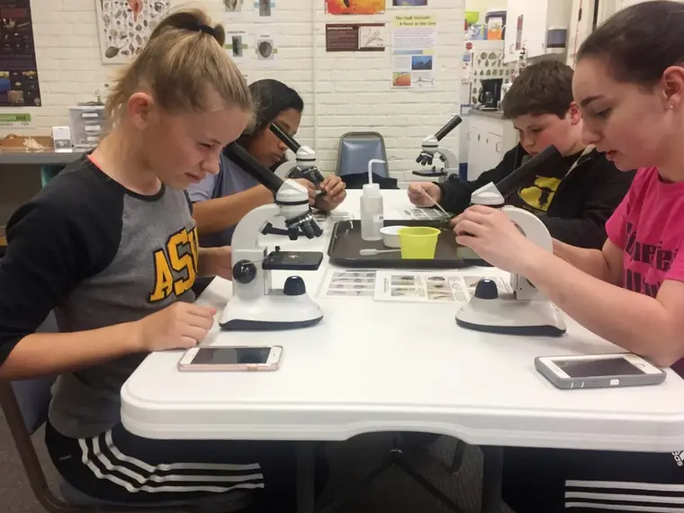 Middle school students using microscopes in a science lab
